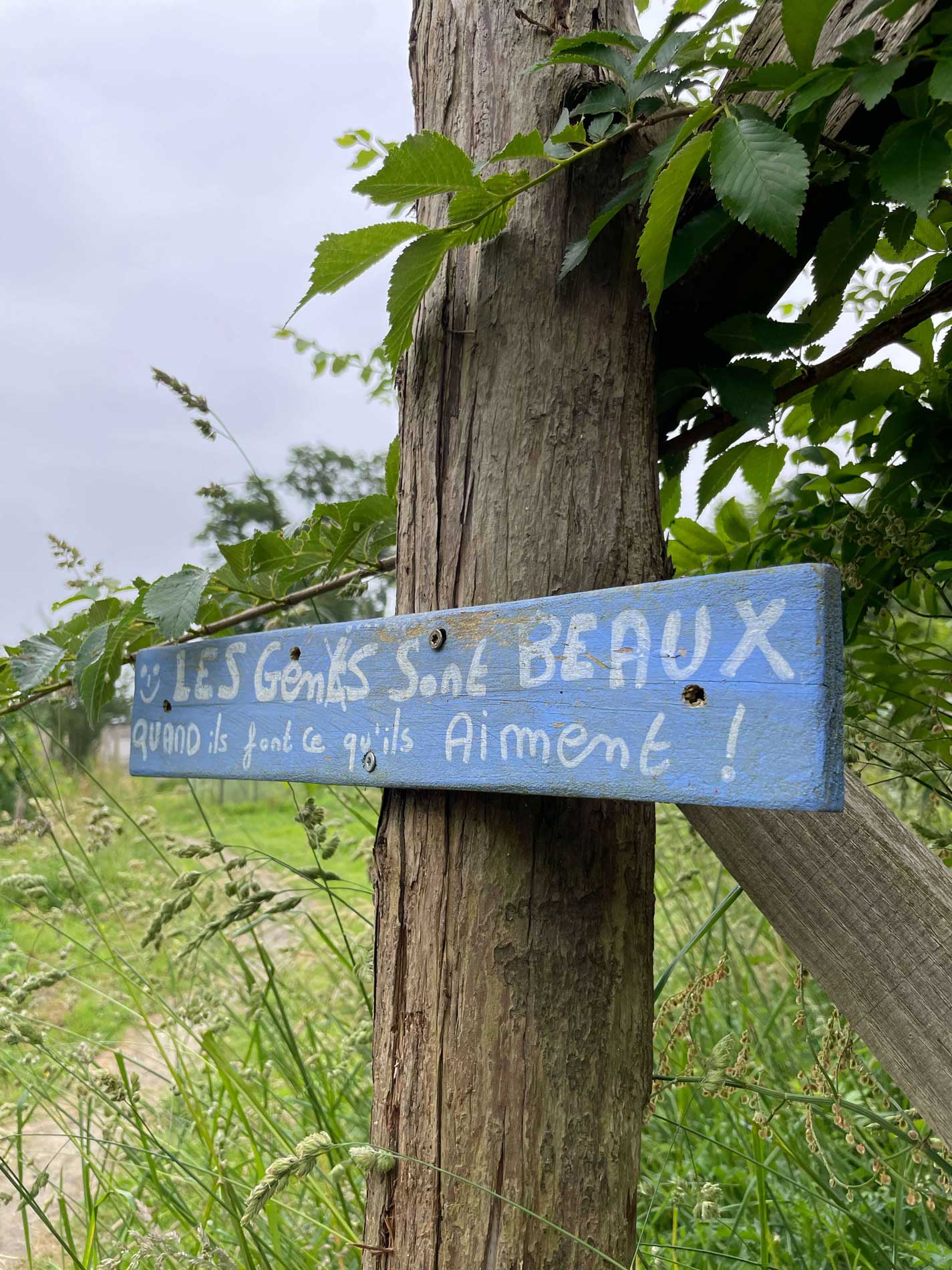 Une image du carousel