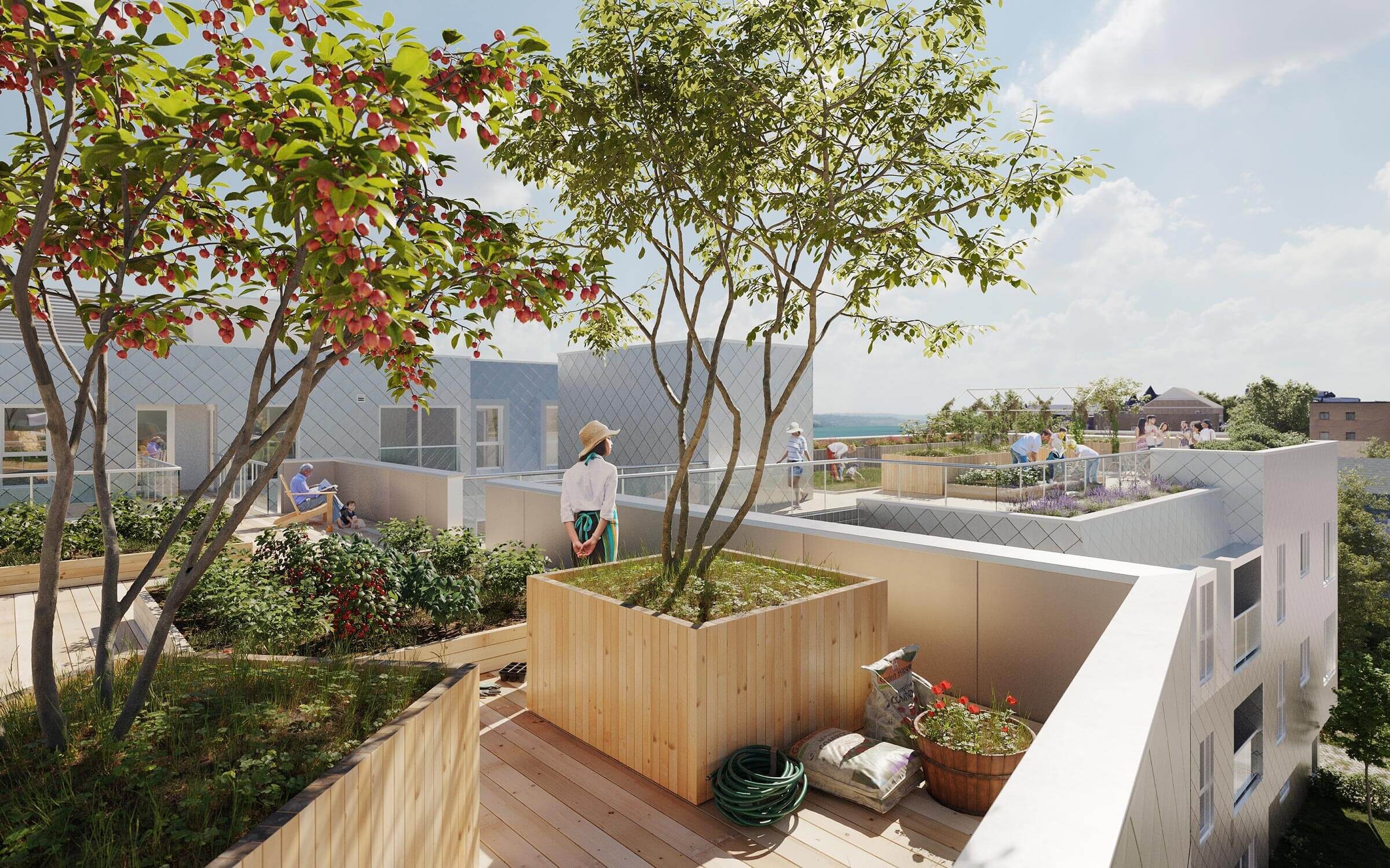 Une image de la bannière