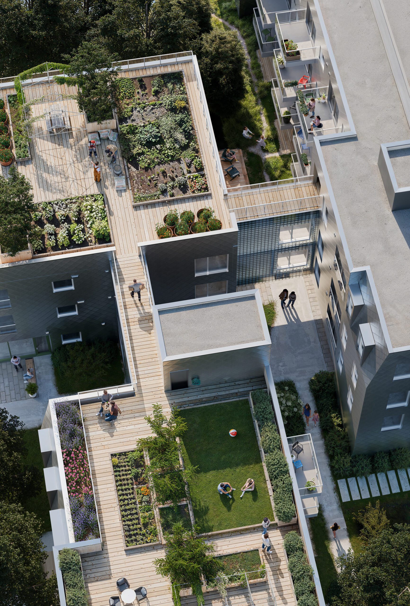 Image de la diapositive